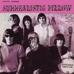 Surrealistic pillow